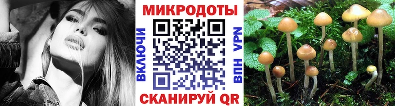 Купить Маркс Псилоцибиновые грибы Psilocybine cubensis